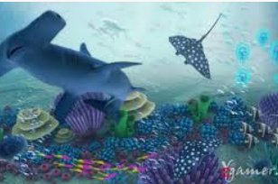 so米体育-在线观看nba直播|足球|篮球cba比赛高清视频正式版